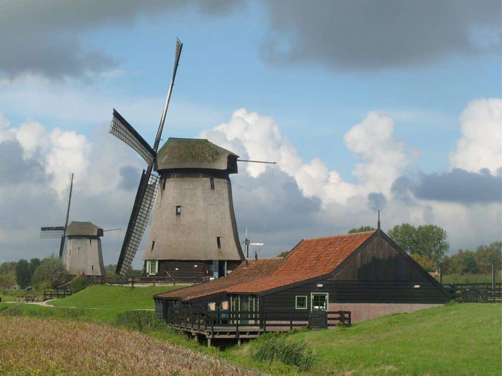 Museummolen, Ondermolen D