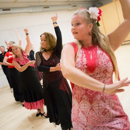 Flamenco dans workshop Artiance