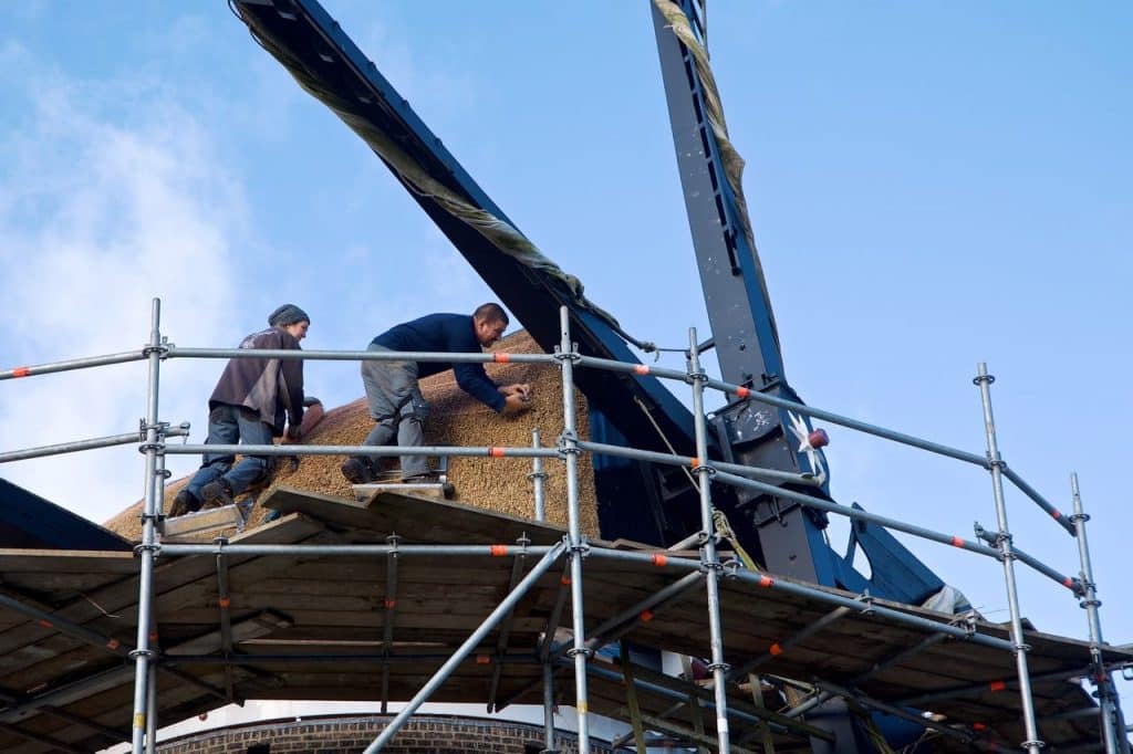 Mensen van Rietdekkersbedrijf ’t Eiland brengen nieuw riet aan op Molen de Eendracht