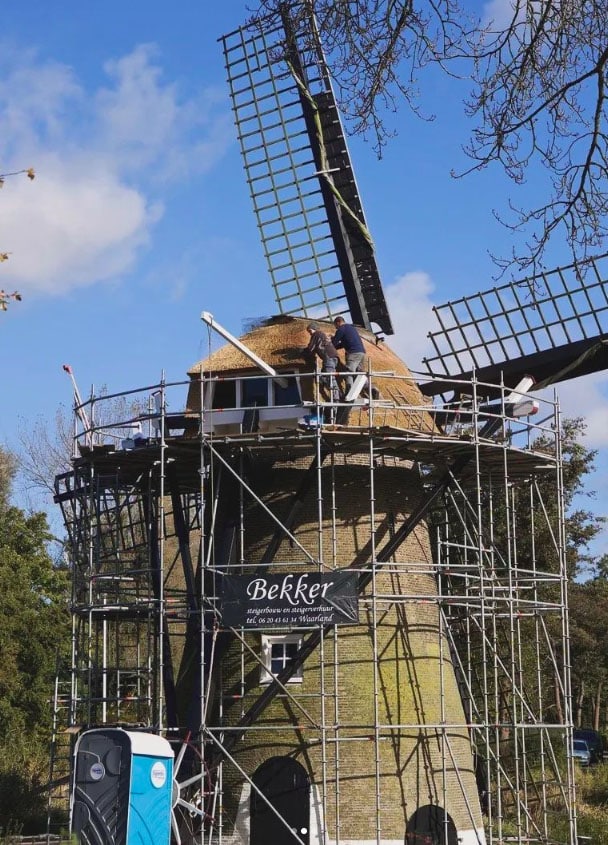 Mensen van Rietdekkersbedrijf ’t Eiland brengen nieuw riet aan op Molen de Eendracht.