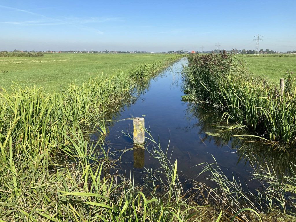 DETAIL OP DINSDAG- Grenspaal O7 in het water