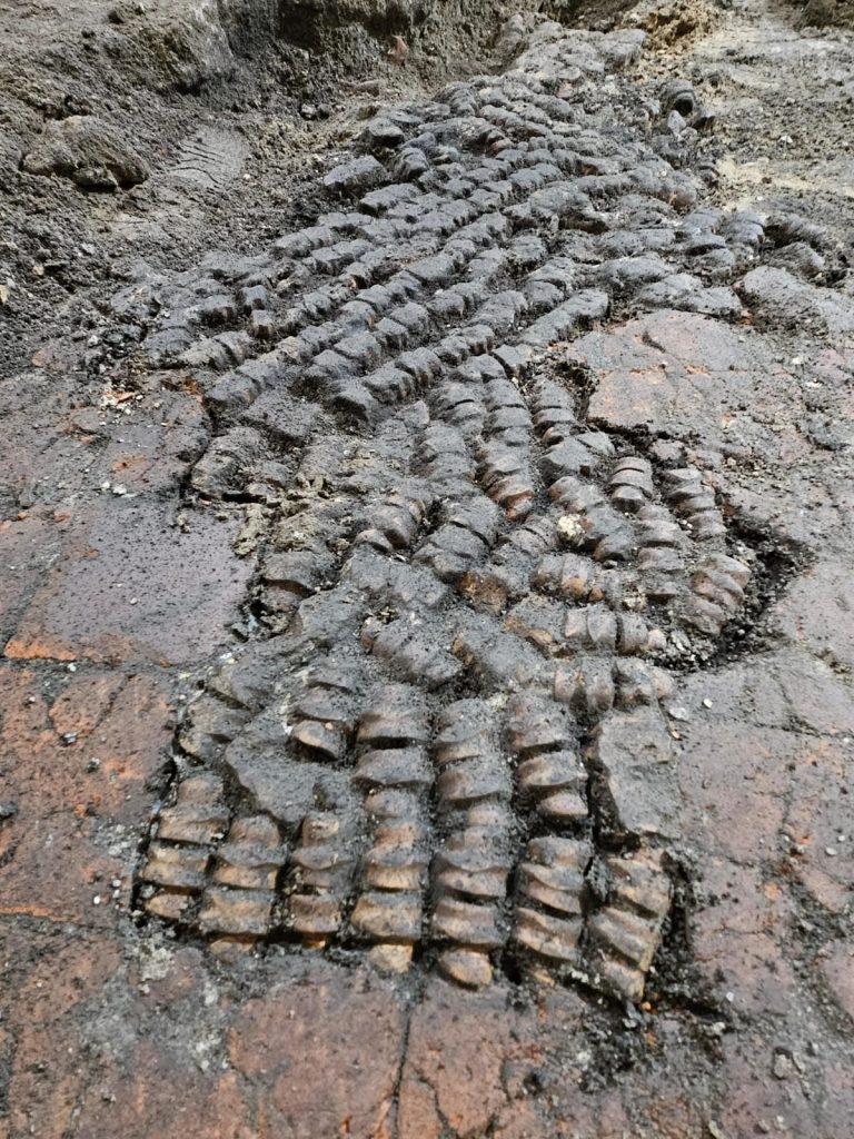 Oude plavuizenvloer opgevuld met een vloer gemaakt van botten