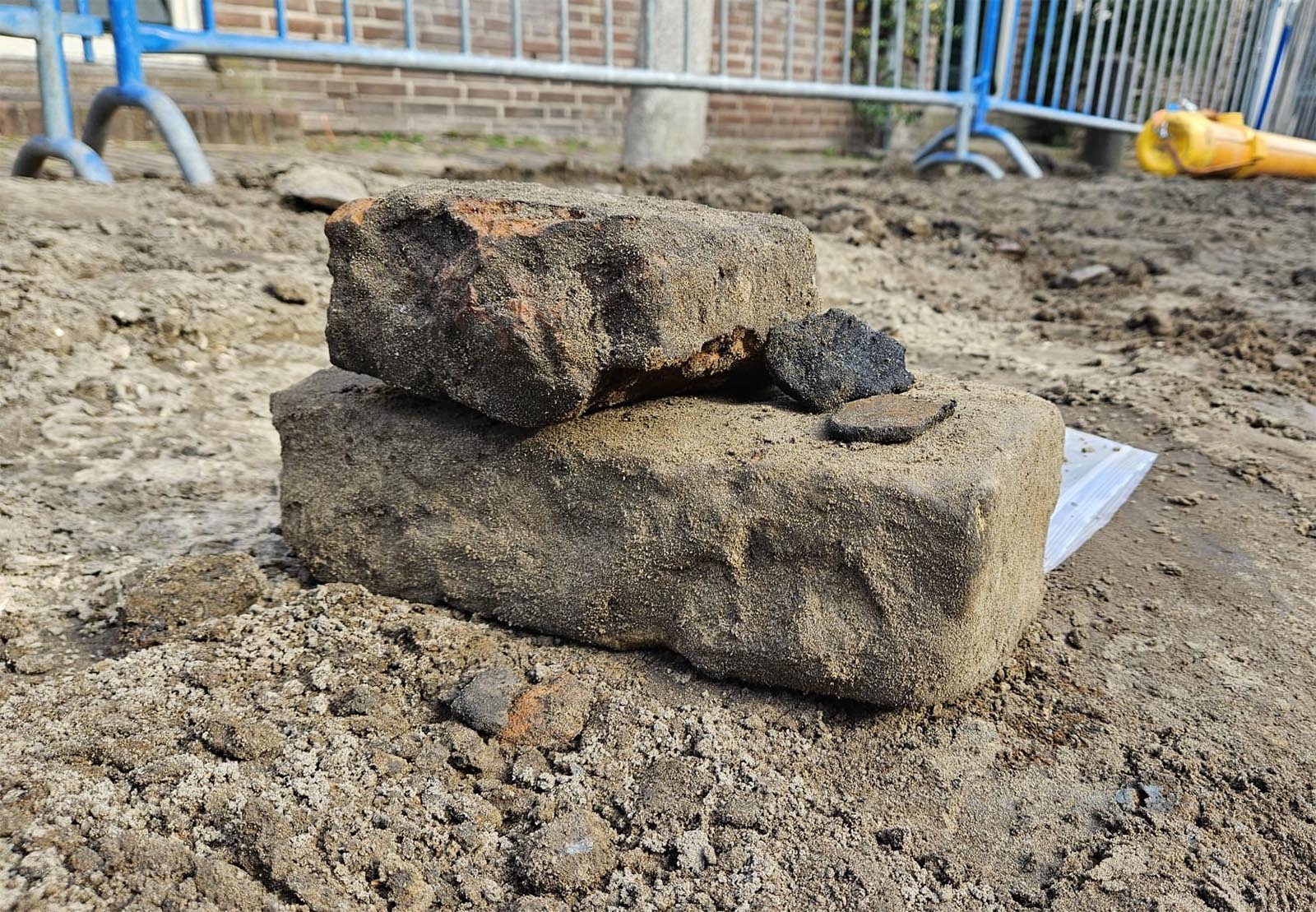 Kloostermop gevonden in de Torenburg.